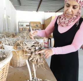 Social Awareness - Desert Daughter: A Bedouin Woman’s Success Story