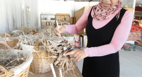 Social Awareness - Desert Daughter: A Bedouin Woman’s Success Story