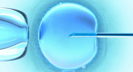 embryonic-stem-cell