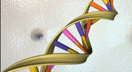 Health News: Funding Rare Disease Research With Crowdsourcing