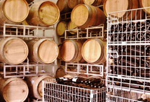 barrels 300x205 Using science to make great wine