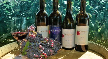 The Bravdo collection