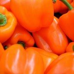 Morflora Discovers Universal Key To Unlock Plants And Protect Against Diseases pepper 22093 1280 150x150 Morflora Discovers Universal Key To Unlock Plants And Protect Against Diseases