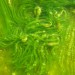 Social Awareness: Israeli Highschoolers Want To Feed Hungry Africans With Algae