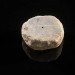 Technology News - Netanyahu's Gift To Obama: Nanotechnology Mounted On Archeology