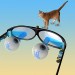 Health News: Researchers Find Way To 'Reactivate' Blind Eyes