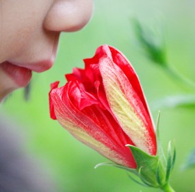 Health News: Israeli Team Heads Research For 'Sniffing Out' Cancer