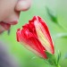 Health News: Israeli Team Heads Research For 'Sniffing Out' Cancer