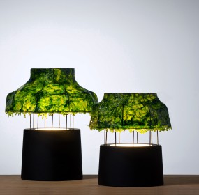 Environment News: Israeli Designed Seaweed Lamps Give Out A Cool Light