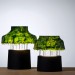 Environment News: Israeli Designed Seaweed Lamps Give Out A Cool Light