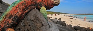 galapagos biodiversity