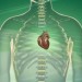Health News: MitrAssist Wants To Heal Broken Hearts With Valve Implant