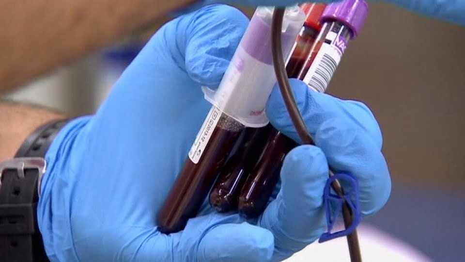 Blood cell therapy developed for wounds that won't heal