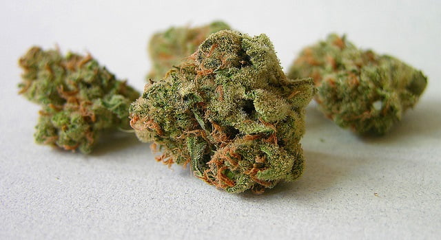 Marijuana Buds via Get Budding/UnSplash