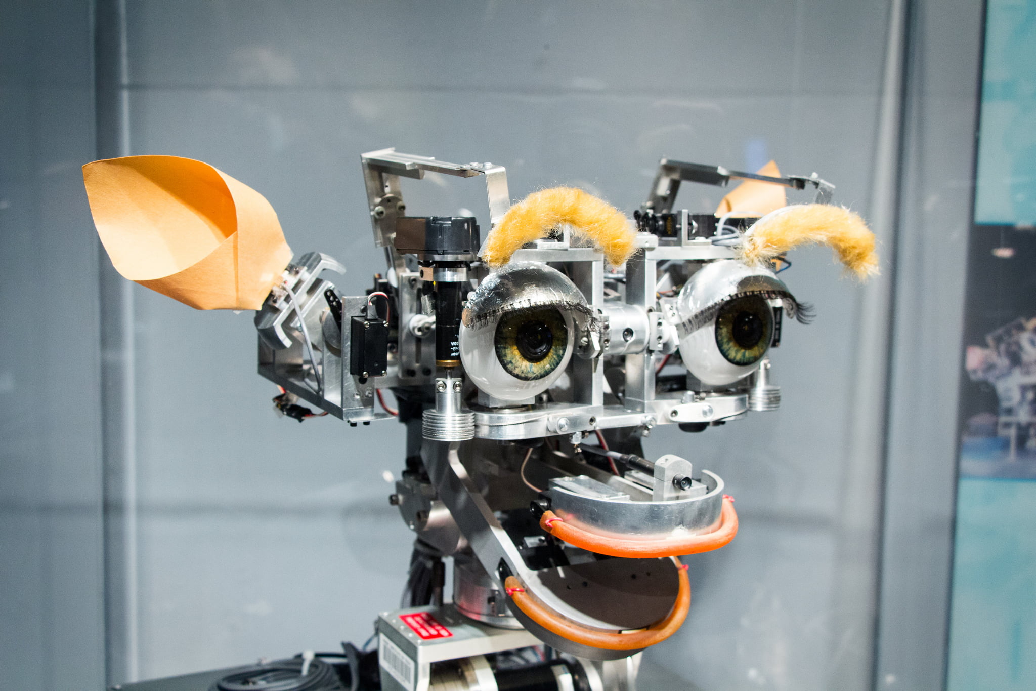 Humanoid robots roaming around MIT campus via Tom Anders/Flickr