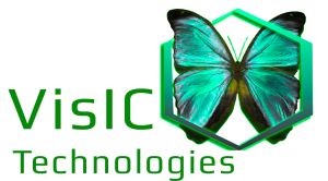 VisIC-logo-1