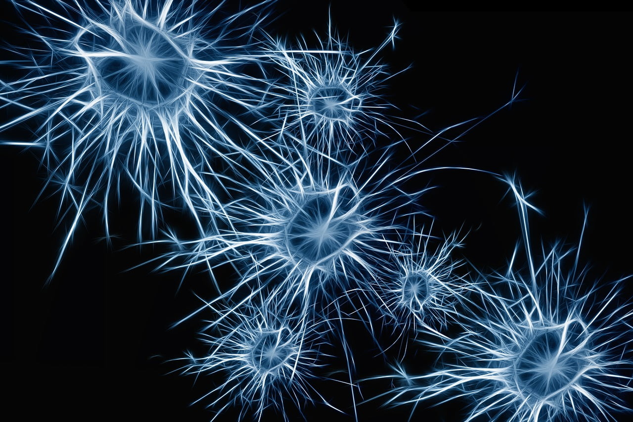 Brain Cells via Pixabay