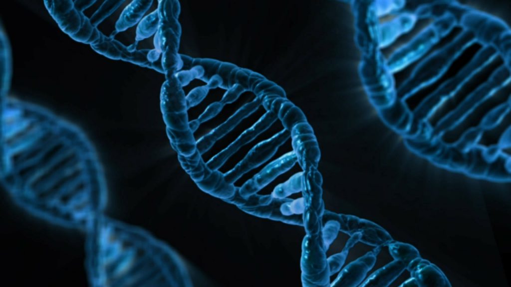 DNA via Pixabay
