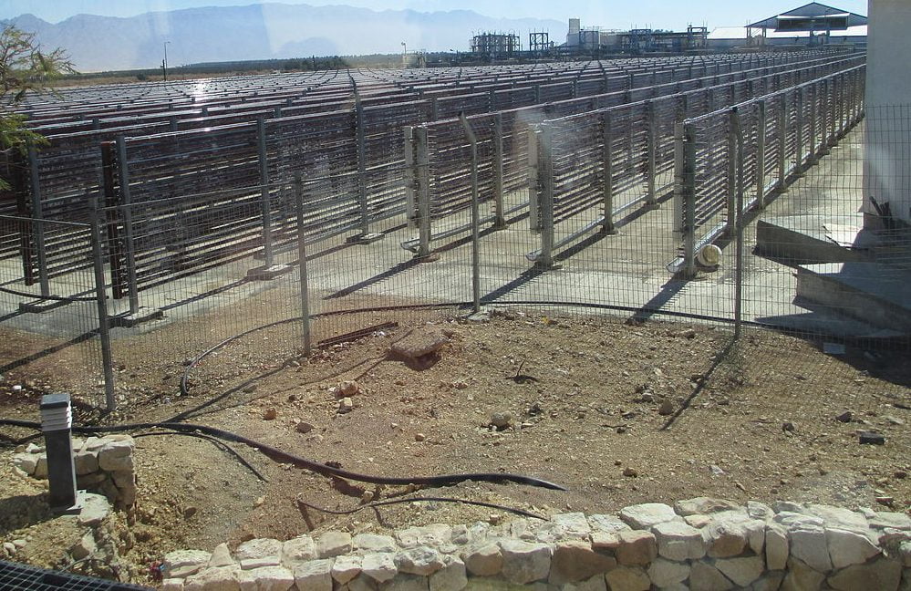 Algae production at Kibbuz Ketura. Photo via Dr. Avishai Teicher Pikiwiki Israel
