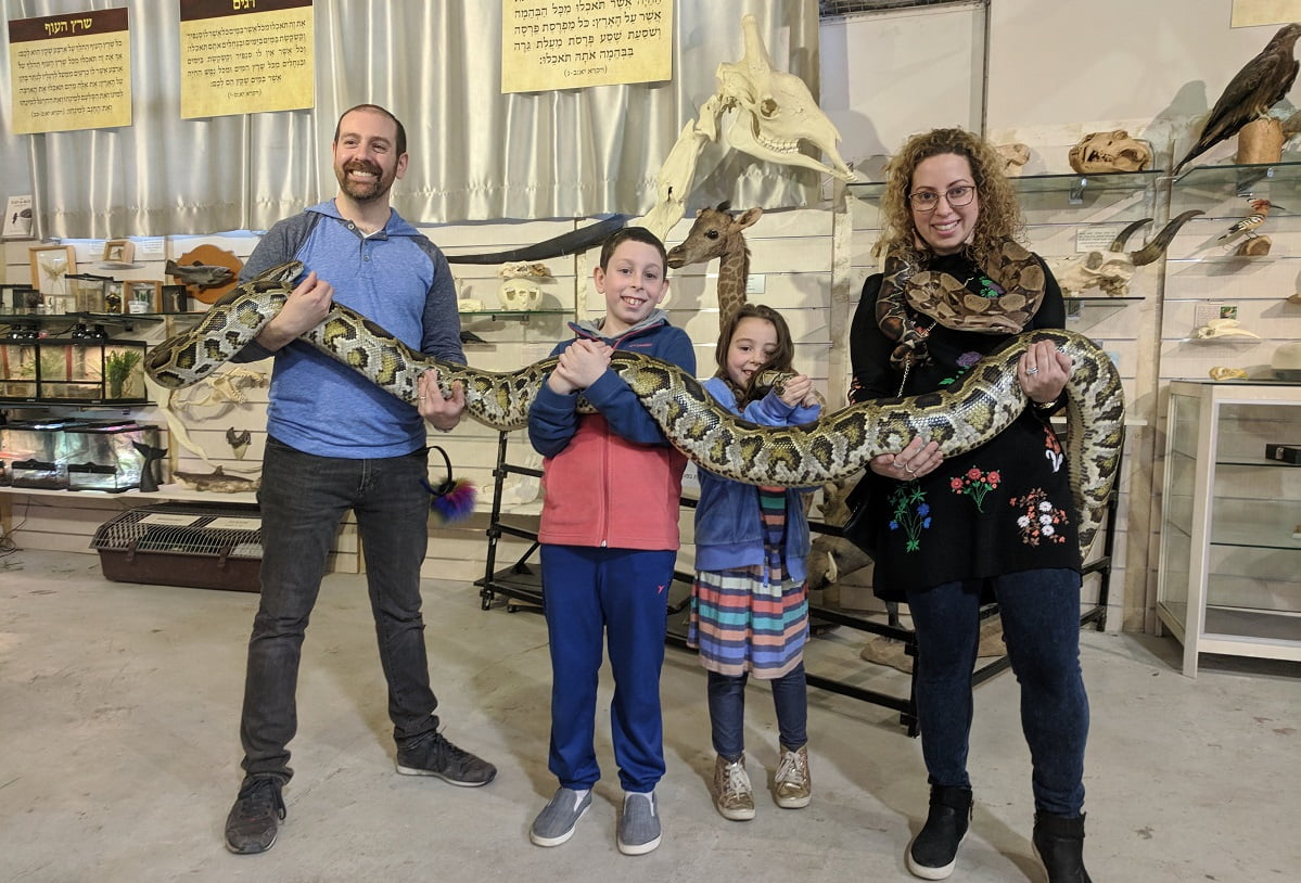 A family holding a snake. Courtesy of The Biblical Museum of Natural History