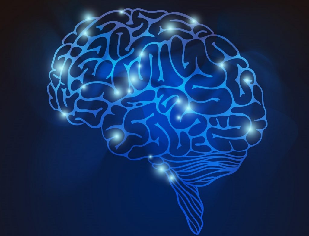 A graphic of the brain. Designed by Freepik