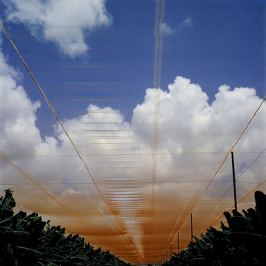 Daniel Tchetchik, Sunburn, Untitled, 2014, color negative printed on archival paper.