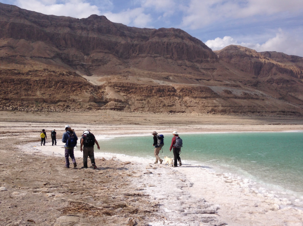 Researchers walk along the bank of the Dead Sea. Credit: Nadav Lensky/Geological Survey of Israel.