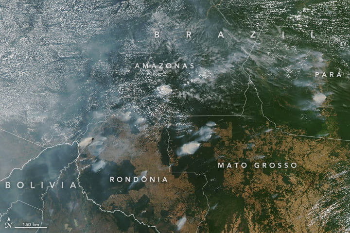 Amazon rainforest fires from space. NASA Earth Observatory images by Lauren Dauphin, using MODIS data from NASA EOSDIS/LANCE and GIBS/Worldview and VIIRS data from NASA EOSDIS/LANCE and GIBS/Worldview, and the Suomi National Polar-orbiting Partnership