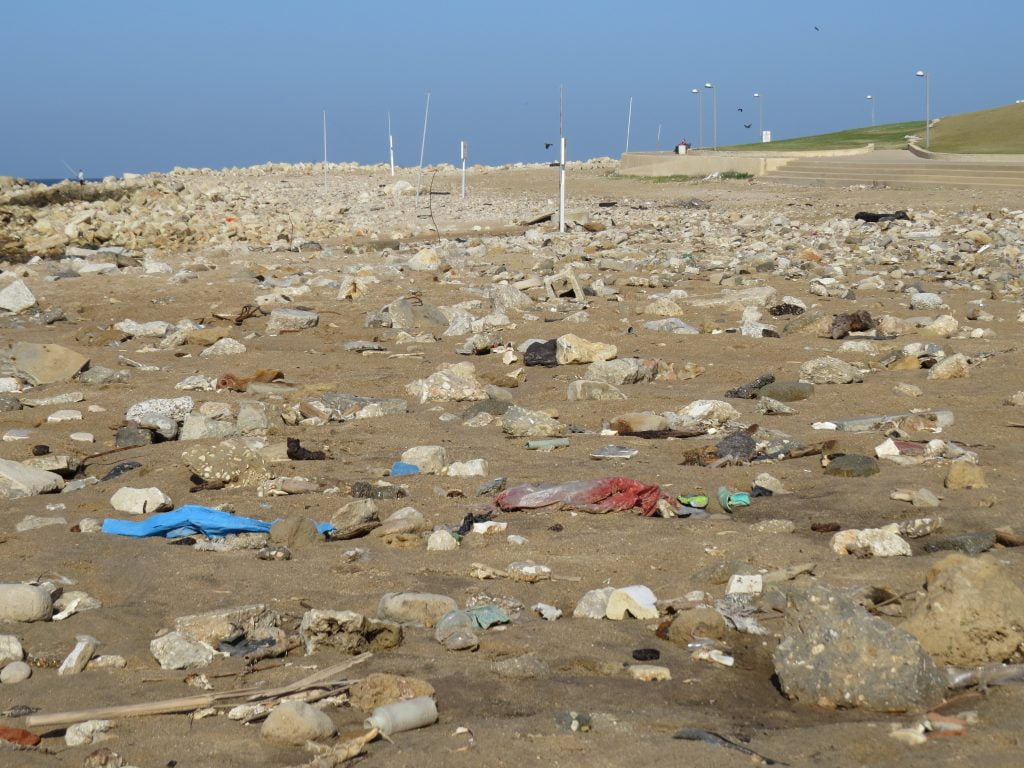 Beach litter. Photo via Plastic Free Israel