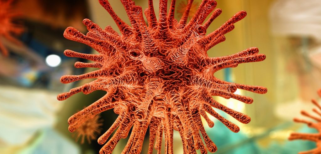 An illustration of the coronavirus. Image by Pixabay