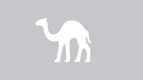 nocamels