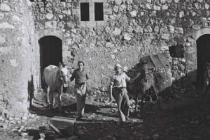 At the stable of kibbutz Jezreel