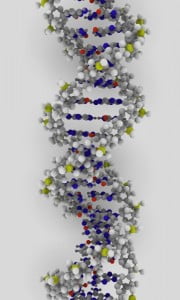 DNA strand