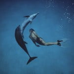 Dolphin Therapy - Lifestyle News - Israel