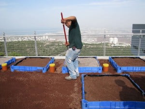 Environment News: The University Of Haifa Wants To Make Roofs Greener – Literally