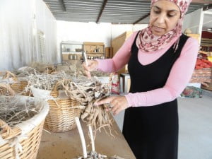 Social Awareness - Desert Daughter: A Bedouin Woman’s Success Story