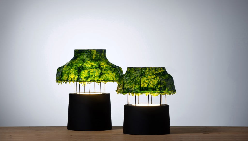 Environment News: Israeli Designed Seaweed Lamps Give Out A Cool Light