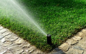 Environment News: GreenIQ Will Save You Half Of The Water You Use In Your Garden