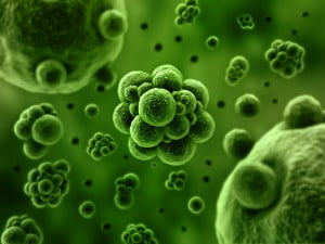 Health News: Researchers Isolate Protein That Can Kill Antibiotic-Resistant Bacteria