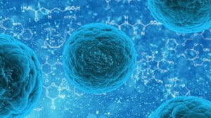 Health News: Five Israeli Companies Using Stem Cell Research To Change The Face Of Medicine