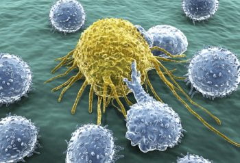 Protein Attacks Cancer Cell via MTOR-FKBP12-RAPAMYCIN]/Flickr