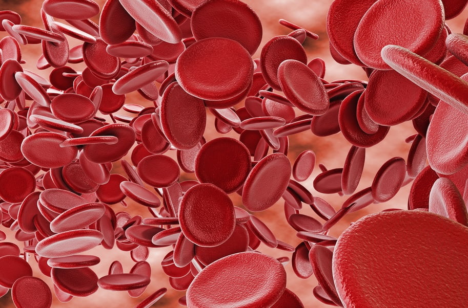 Red Blood Cells. Photo by Jim Gathany/Centers for Disease Control and Prevention