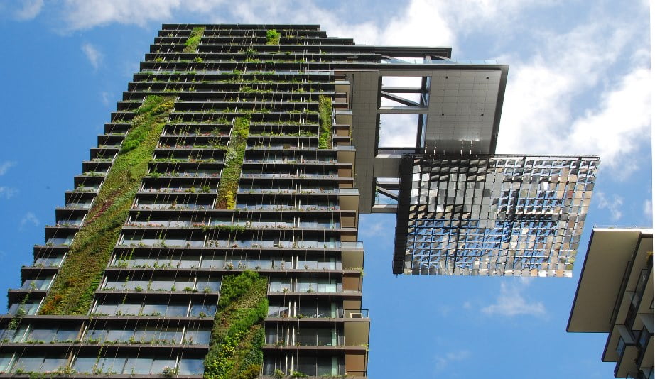 Greenwall Vertical Gardens World Hunger | Environment News