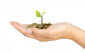 money hand plant tree fundraising vc growth via Flcikr