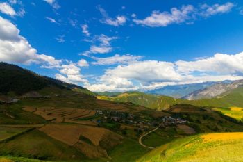 Green Meadows via  Maojin Lang/Unsplash