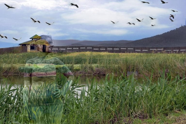 Camouflage Body Paintings Reveal Israel's Beauty