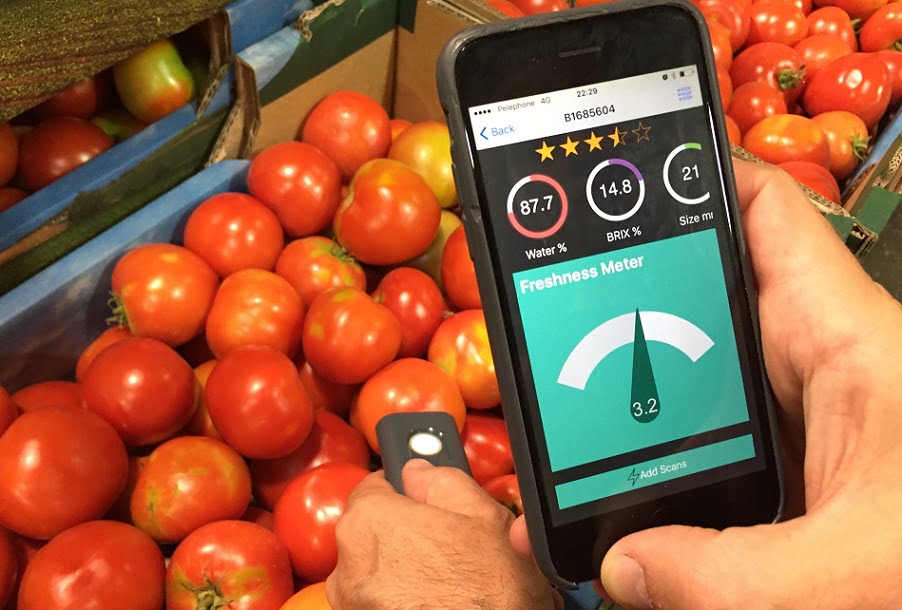 aclartech app tests freshness of produce - courtesy