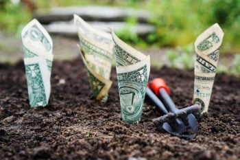 Money growing farm via Pexels