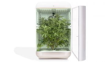 Seedo’s technology system for automated growing of Cannabis. Photo courtesy of Seedo