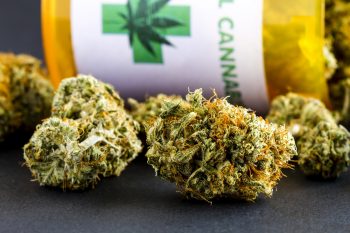 Medical cannabis buds. Photo via Deposit Photos